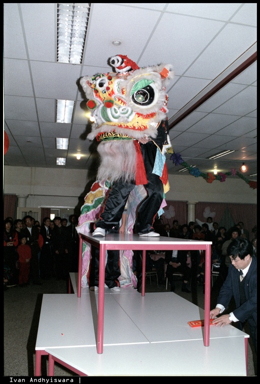 1994 Chinees Nieuwjaar 15