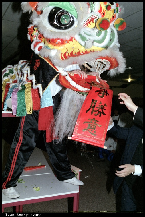 1994 Chinees Nieuwjaar 17