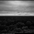 L1000930