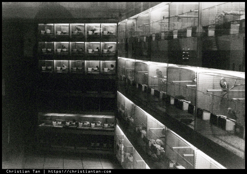 1990s Warszawa 0013 a