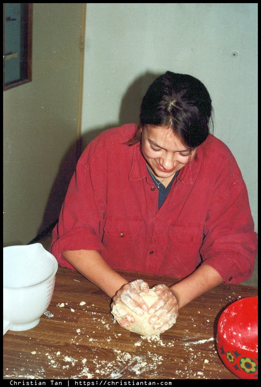 1990s Delft 0050 a