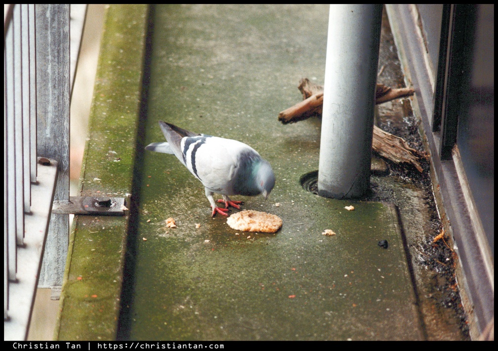 1990s Delft 0111 a