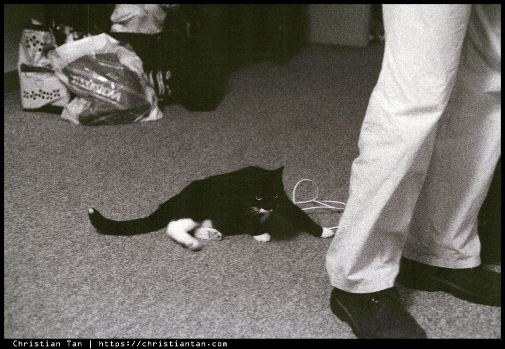 1990s Experiments 0036 a