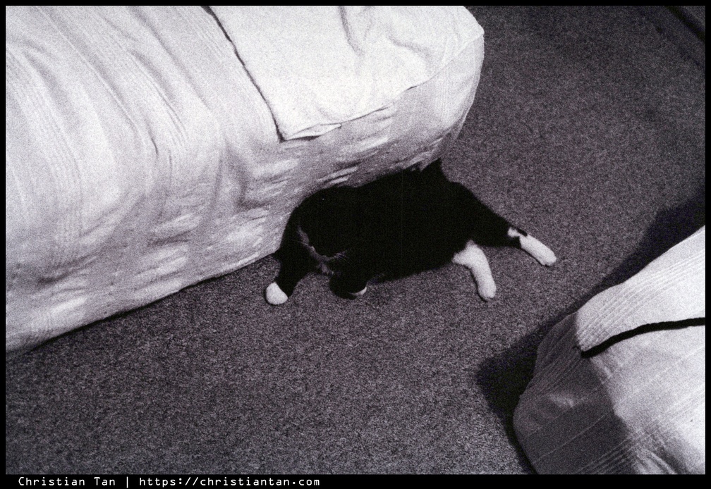1990s Experiments 0039 a