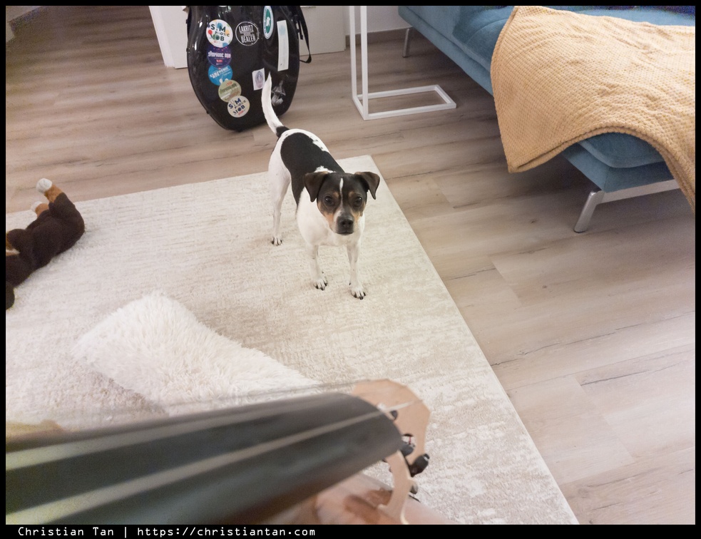 PXL 20250303 183611497.RAW-02.ORIGINAL